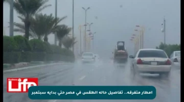 أمطار متفرقة.. تفاصيل حالة الطقس في مصر حتى بداية سبتمبر